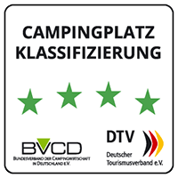 BVCD DTV 